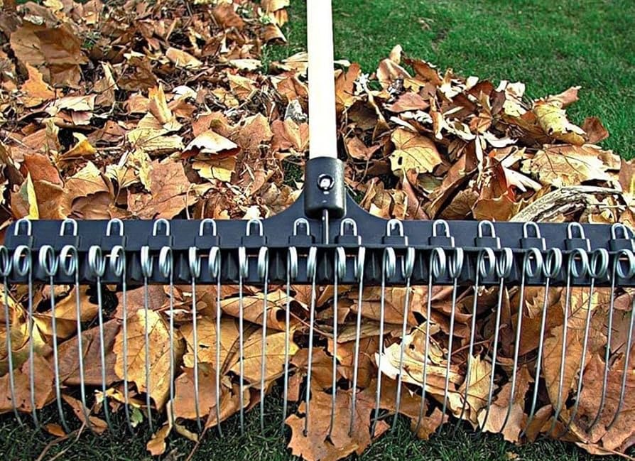 rake